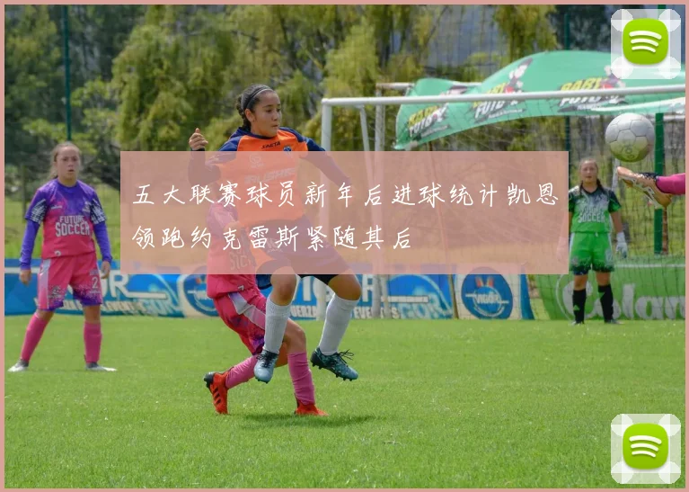 五大联赛球员新年后进球统计凯恩领跑约克雷斯紧随其后